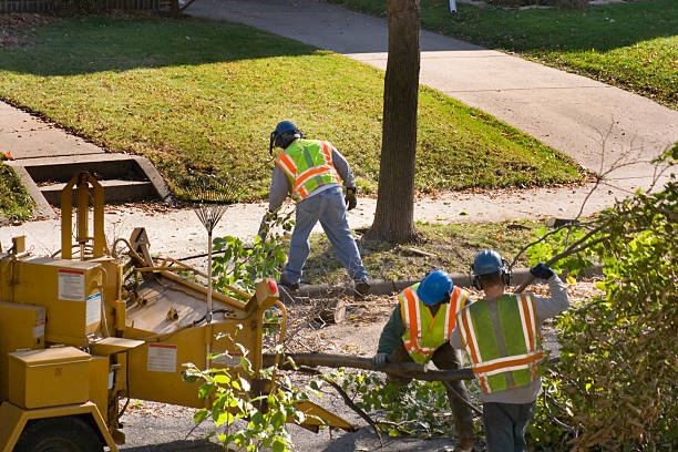 Mulching Services